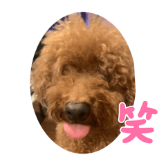 yh_20240707181147