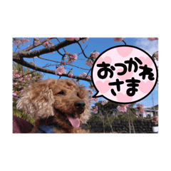 nagomiya_20240708220657