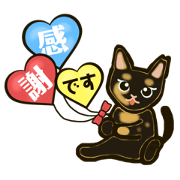 Amour_20240709123405