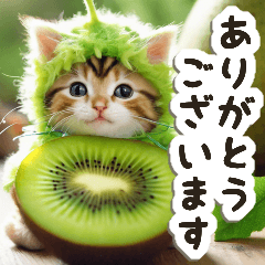 Greetings/Cat wearing a Kiwi costume #02