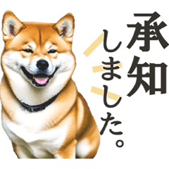 Shiba Inu Sticker: Polite Language