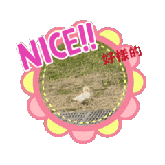 Jane Li_20240708195356 - LINE スタンプ | LINE STORE