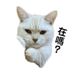 Lin Yiting_20240709233944 – LINE stickers | LINE STORE