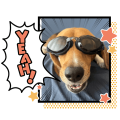 Inarin_20240709184228