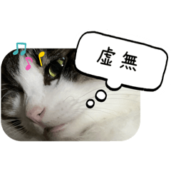 nurechan_20240709214321