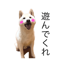 Sakurako_20240709225023