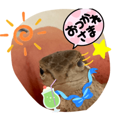 Lunapico_20240709212228