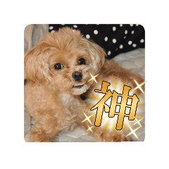 小鉄くんスタンプDX　ファミリーバージョン