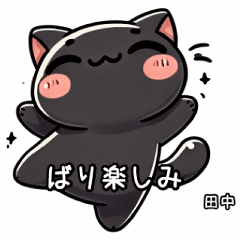 Hakata Dialect for Tanaka, Black Cat