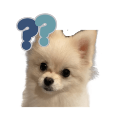 yurinyaaa_20240710085741