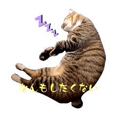 tatsuko_20240710011513