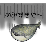 taka_20240709152229