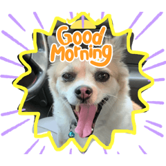 NIPADA_20240710153719