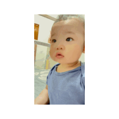 小茼蒿