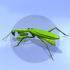 Mantis on the smartphone 5