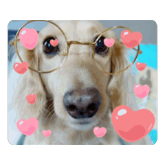 豆豆動起來♥