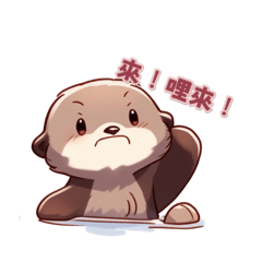 Rainnie Sea Otter 功台語