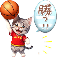【BIG】アニメ猫♡バスケットボール