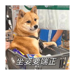 地瓜狗