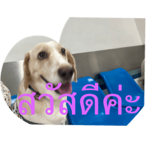 Suwaree phosuparb_20240711153302