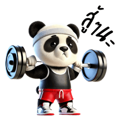 Fit Panda