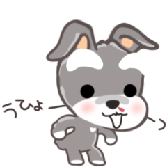 moving schnauzer sorpe