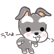 moving schnauzer sorpe