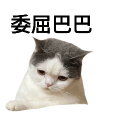 錢錢日常語錄