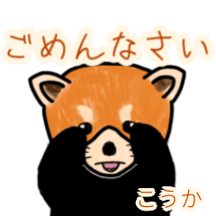 Kouka's lesser panda