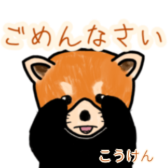 Kouken's lesser panda