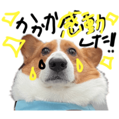 Michael_20240711185343