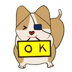 Strong muscles Corgi