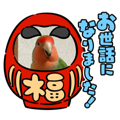 コザクラインコのうめちゃん3