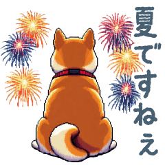 enjoy summer shiba dog