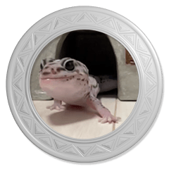 lizard gecko liz sticker