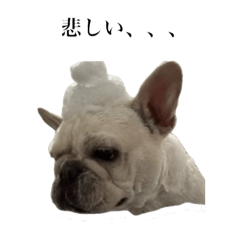 Soyun_20240712010156