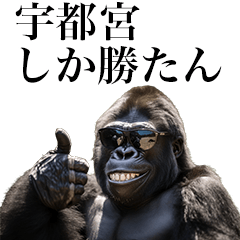 [Utsunomiya] Funny Gorilla stamp to send