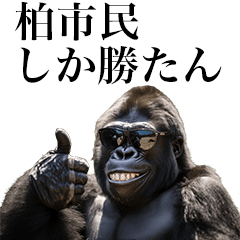 [Kashiwa-shi] Funny Gorilla stamps send