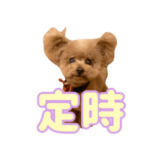 ココてぃんの残業報告