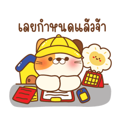 เหมียวเฝ้าบ้านเช่า หอพัก