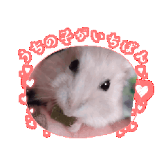 yochichi_20240712181315