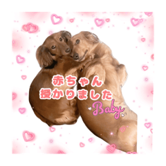 krumi_20240712153901