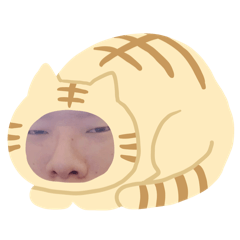 蔡老師的100種表情