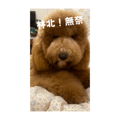 好用要買