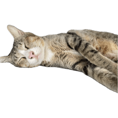 minionon_20240712195947