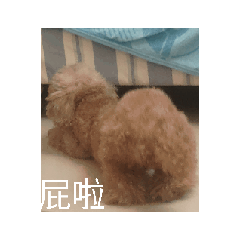 摳摳動起來了