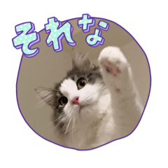 yh_20240712195125
