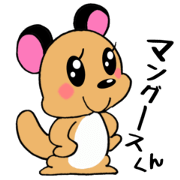 happy mongoose
