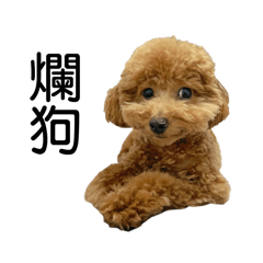 Crispy的C是Caubei的C