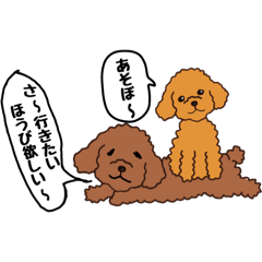 Coco & Bibi2
